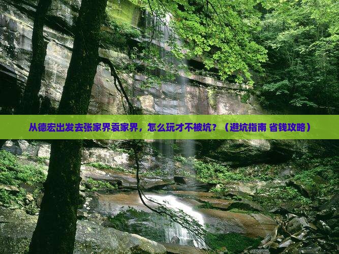 德宏去张家界袁家界旅行社