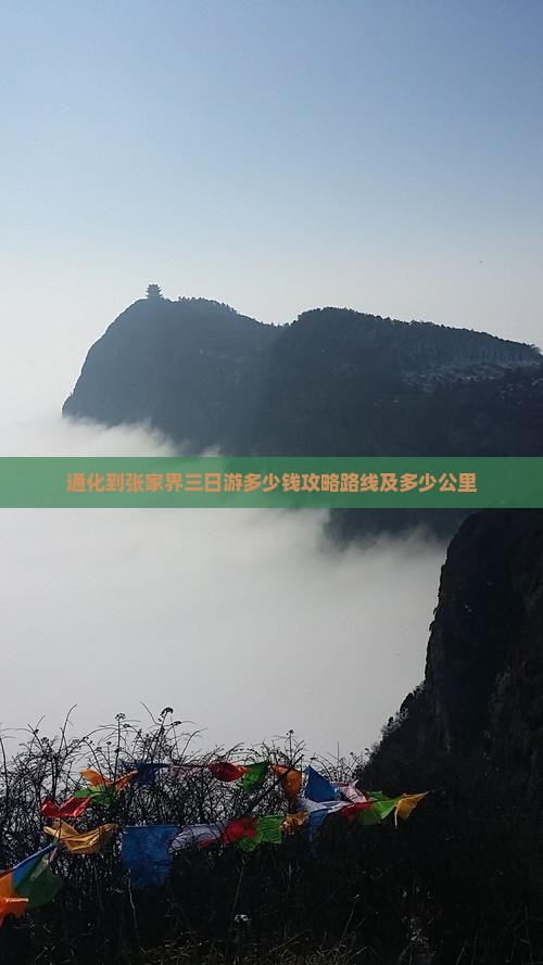 通化到张家界三日游