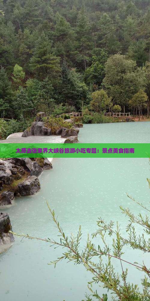 太原去张家界大峡谷旅游小吃
