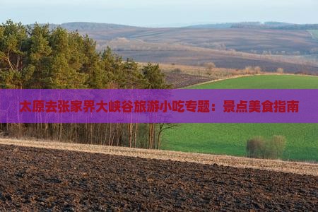 太原去张家界大峡谷旅游小吃