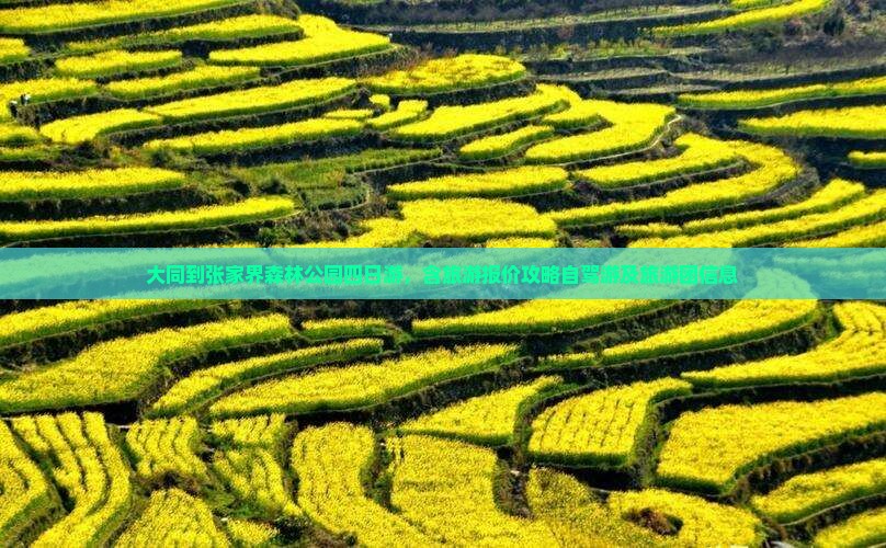 大同到张家界森林公园四日游 大同到张家界森林公园四日游