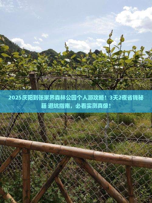 庆阳到张家界森林公园个人游
