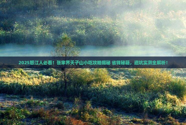 怒江去张家界天子山旅游小吃