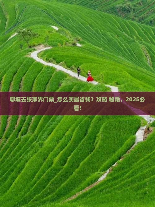 聊城去张家界门票