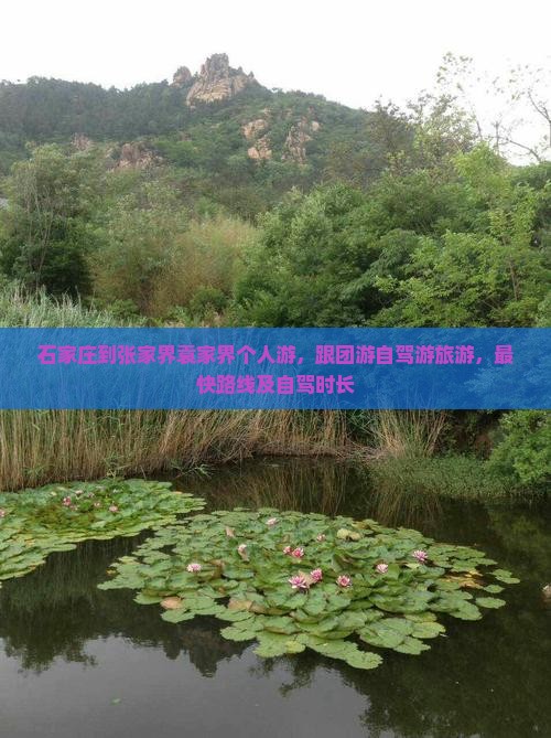 石家庄到张家界袁家界个人游
