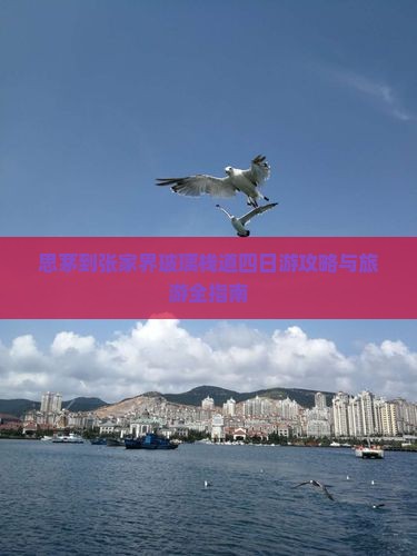 思茅去张家界玻璃栈道四日游