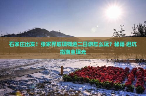 石家庄到张家界玻璃栈道二日游