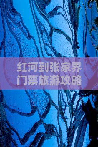 红河到张家界门票