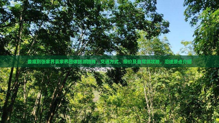 娄底到张家界袁家界团体旅游