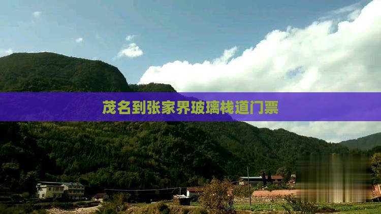 茂名到张家界玻璃栈道门票