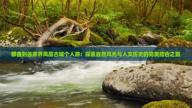 那曲到张家界凤凰古城个人游