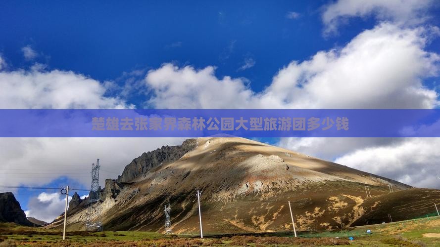 楚雄去张家界森林公园大型旅游团