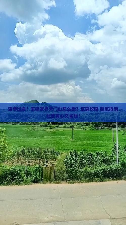 淄博到张家界天门山景点