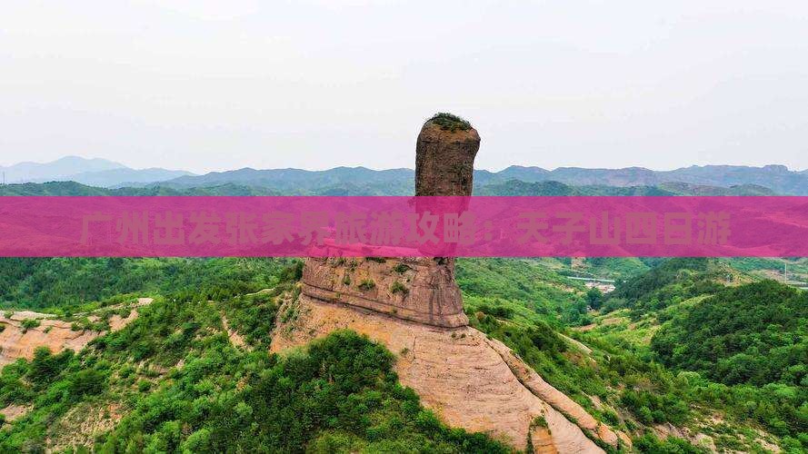 广州去张家界天子山四日游