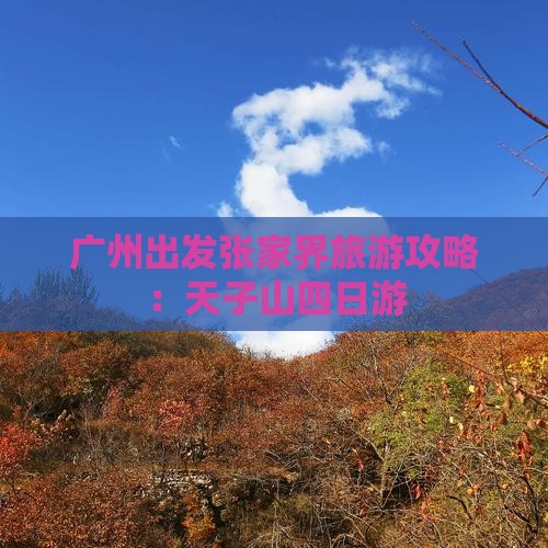 广州去张家界天子山四日游