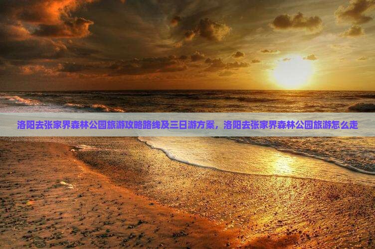 洛阳去张家界森林公园旅游