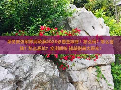 莱芜去张家界武陵源攻略
