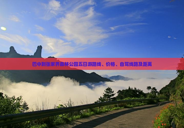 巴中到张家界森林公园五日游