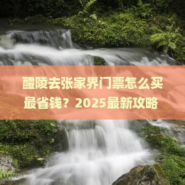 醴陵去张家界门票