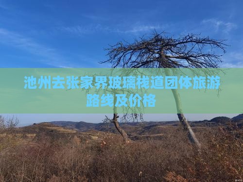 池州去张家界玻璃栈道团体旅游