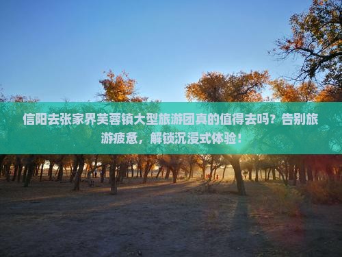 信阳去张家界芙蓉镇大型旅游团
