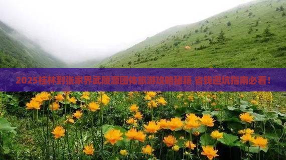 桂林到张家界武陵源团体旅游