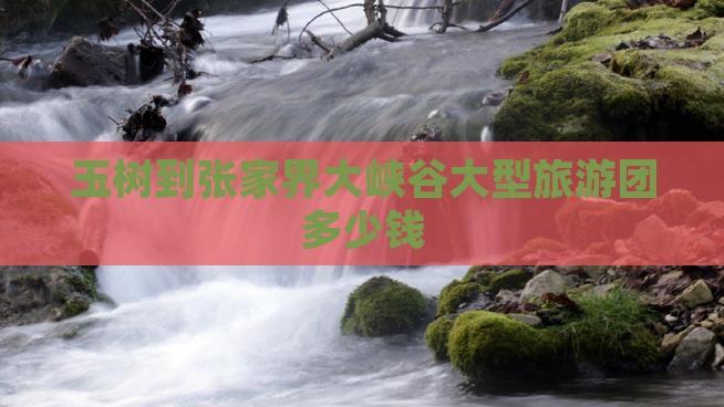 玉树到张家界大峡谷大型旅游团