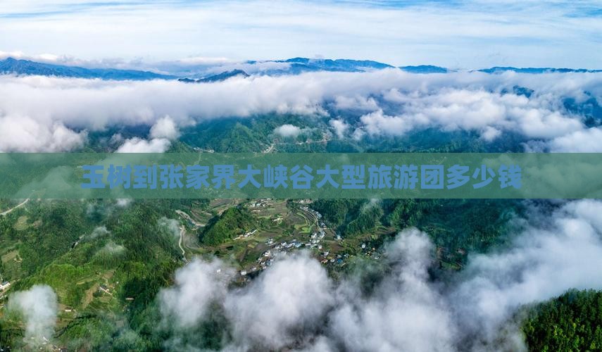 玉树到张家界大峡谷大型旅游团