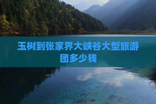 玉树到张家界大峡谷大型旅游团