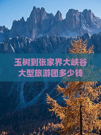 玉树到张家界大峡谷大型旅游团