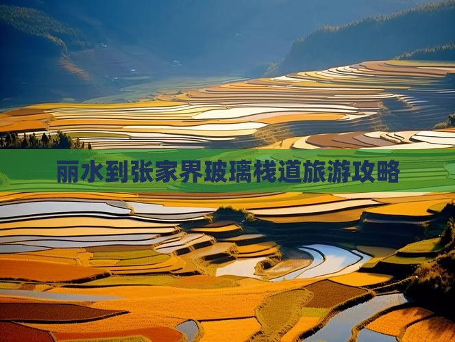 丽水到张家界玻璃栈道旅行社