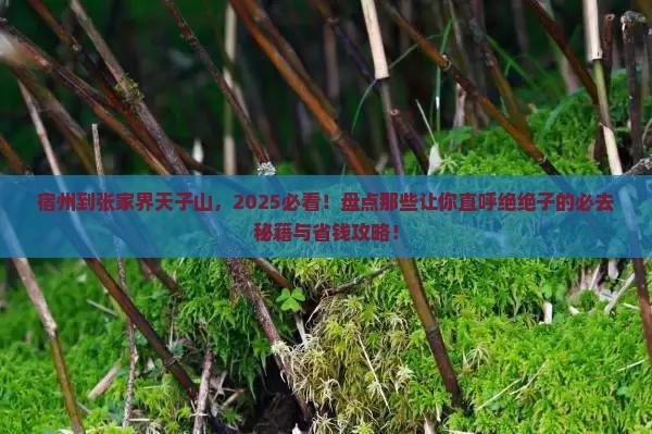 宿州到张家界天子山必去地