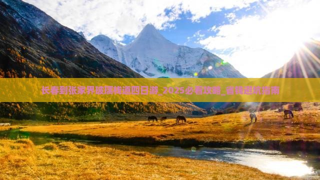 长春到张家界玻璃栈道四日游