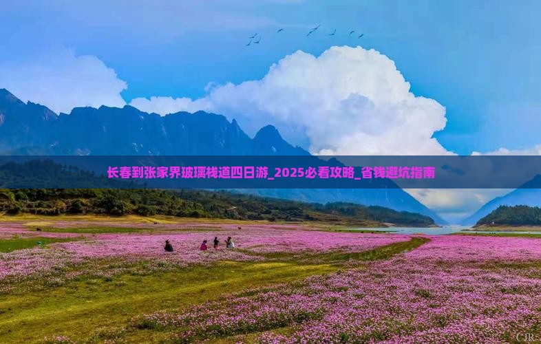 长春到张家界玻璃栈道四日游
