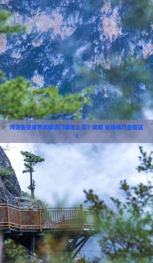 河源去张家界武陵源门票