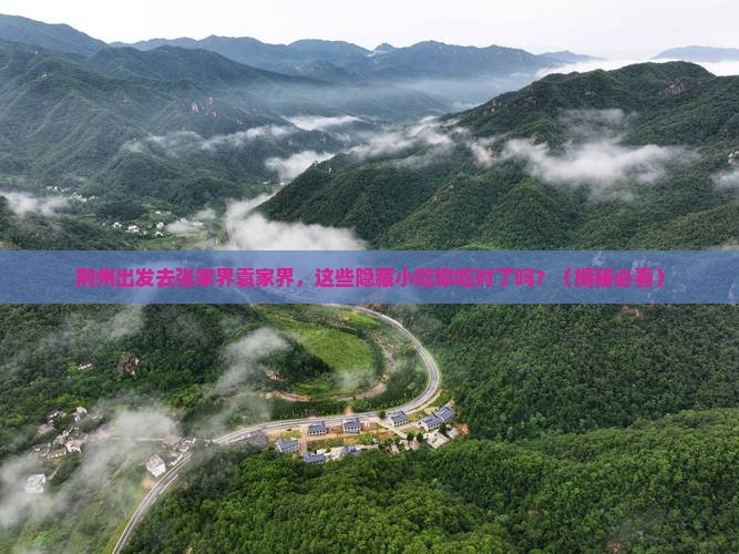 荆州去张家界袁家界旅游小吃