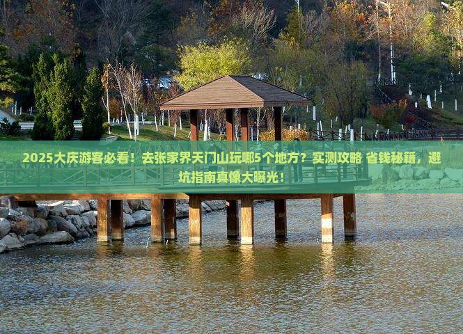 大庆去张家界天门山哪里玩