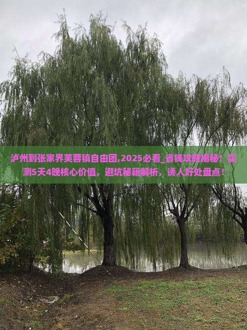 泸州到张家界芙蓉镇自由团