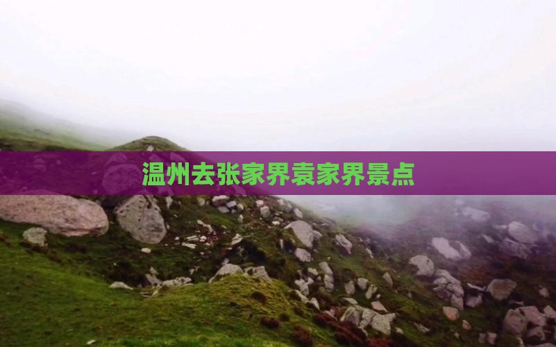 温州去张家界袁家界景点