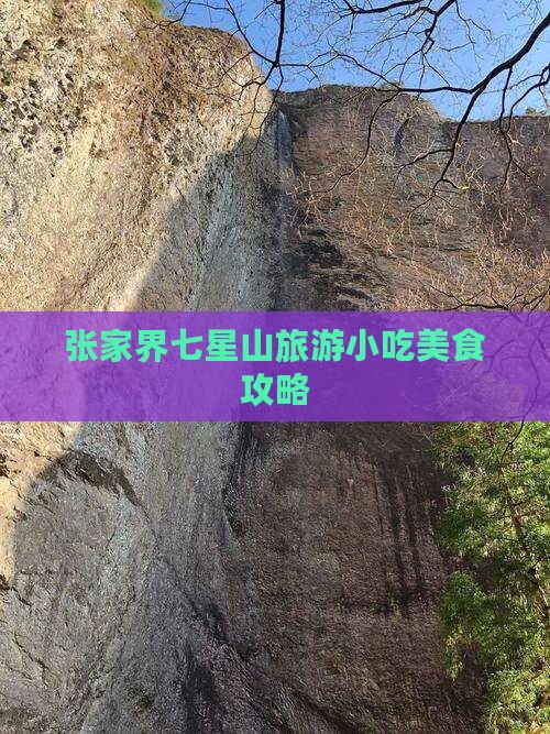 双鸭山到张家界七星山旅游小吃