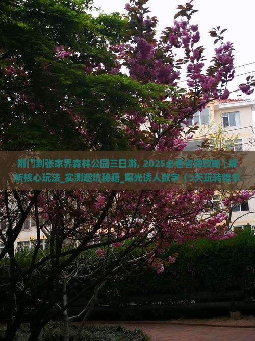 荆门到张家界森林公园三日游
