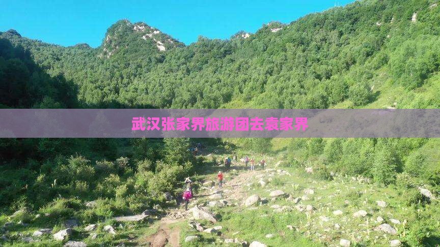 武汉去张家界袁家界团体旅游