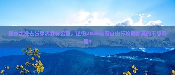 萍乡到张家界森林公园自由行