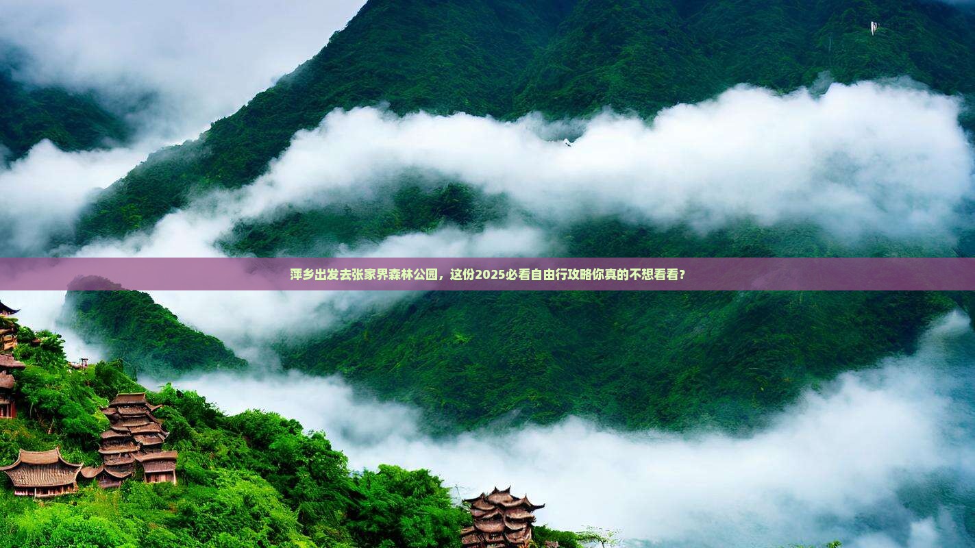 萍乡到张家界森林公园自由行