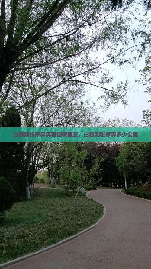 白银到张家界芙蓉镇哪里玩 白银到张家界芙蓉镇哪里玩