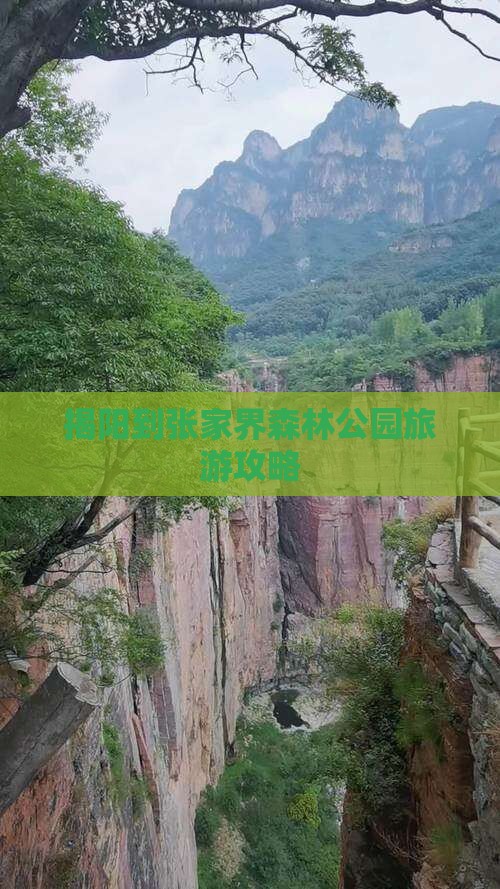 揭阳到张家界森林公园攻略