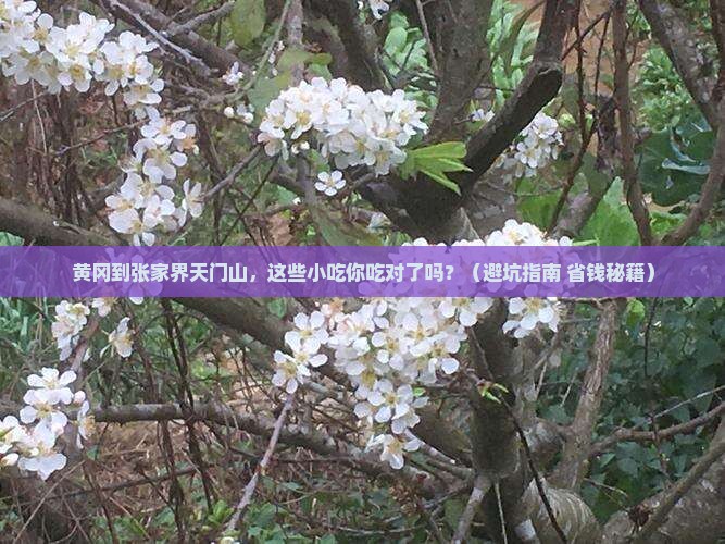 黄冈到张家界天门山旅游小吃