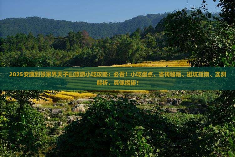 安康到张家界天子山旅游小吃