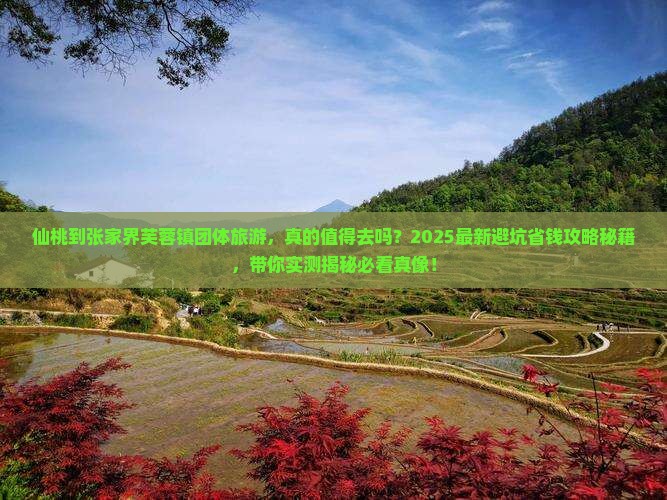 仙桃到张家界芙蓉镇团体旅游