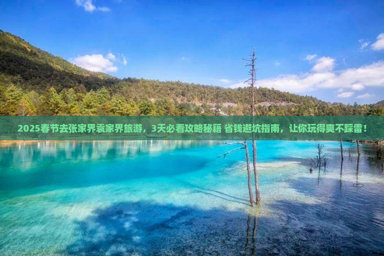春节到张家界袁家界旅游
